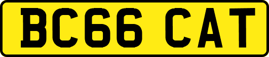 BC66CAT