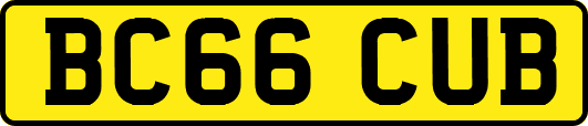 BC66CUB