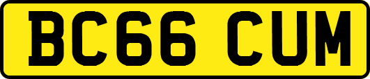 BC66CUM