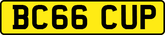 BC66CUP