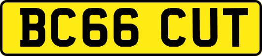 BC66CUT