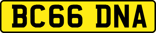 BC66DNA