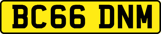 BC66DNM