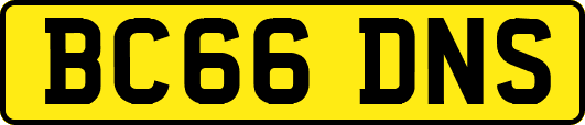BC66DNS