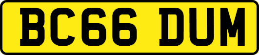 BC66DUM