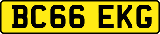 BC66EKG