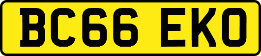 BC66EKO