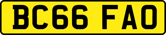 BC66FAO