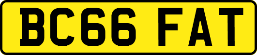 BC66FAT