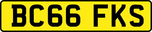 BC66FKS