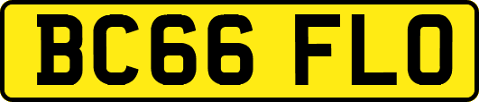 BC66FLO