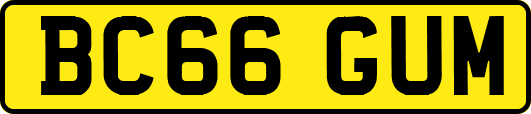 BC66GUM