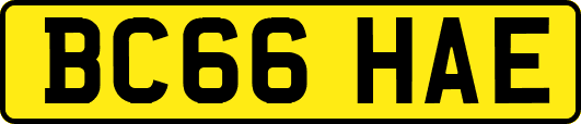 BC66HAE