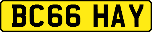 BC66HAY