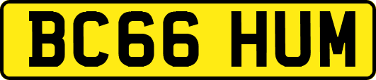 BC66HUM