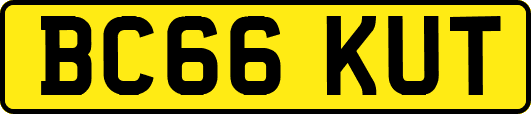 BC66KUT