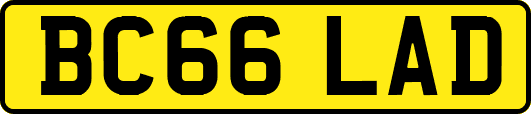 BC66LAD