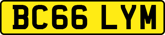 BC66LYM