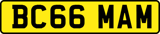 BC66MAM