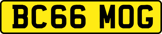 BC66MOG