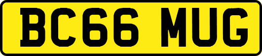 BC66MUG