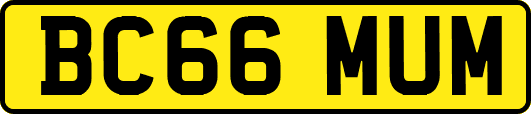 BC66MUM