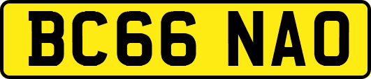BC66NAO