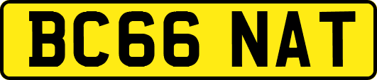 BC66NAT