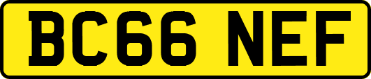 BC66NEF