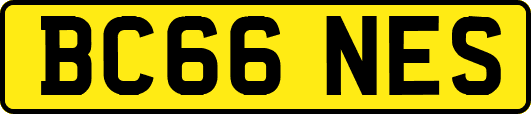 BC66NES