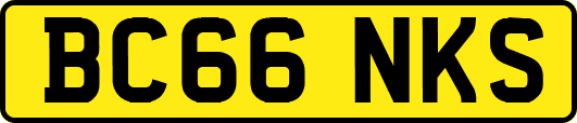 BC66NKS