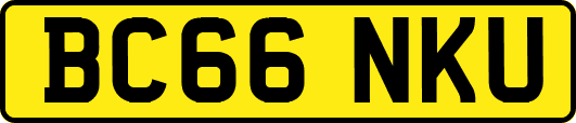 BC66NKU