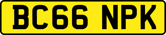 BC66NPK