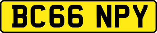 BC66NPY