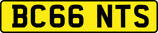 BC66NTS
