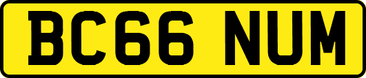 BC66NUM