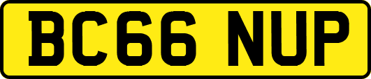 BC66NUP
