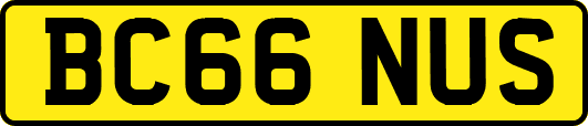 BC66NUS