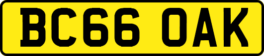 BC66OAK