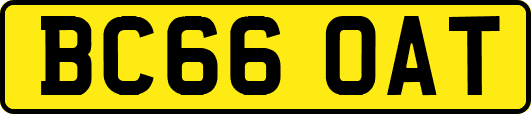 BC66OAT
