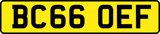 BC66OEF