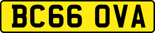 BC66OVA