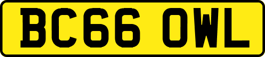 BC66OWL