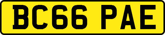 BC66PAE