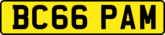 BC66PAM