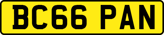 BC66PAN