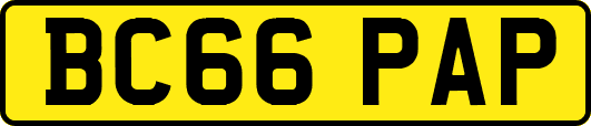 BC66PAP
