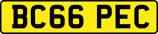 BC66PEC