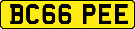 BC66PEE