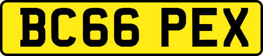 BC66PEX